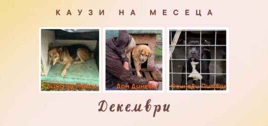 Monthly Causes for December 2025